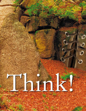 Think!